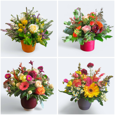 Coffee Table Arrangement - A lovely seasonal mix of flowers, and foliage arranged in a pot container. An ideal gift to sit on a coffee table.
