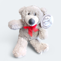Soft Toy Teddy Bear