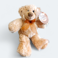 Soft Toy Bear